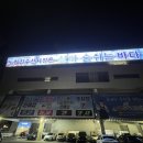 [ 일상 끄적임 #25 ] 평범한 일상 근데 이제 노량진 새벽시장 경매 구경을 곁들인 🌊