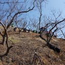 지업농장 이미지