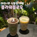 마곡나루 대형 식물원 카페 플라워플로우 내돈내산 후기