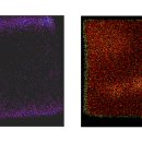 (주)에이치글로벌 이미지