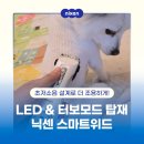 반려동물 셀프미용 | [닉센] 반려동물 셀프미용 완성! 조용하고 강력한 펫미용기기 추천! 닉센 스마트위드