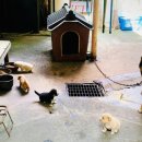 제일장여관 이미지