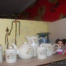 도도피부 이미지