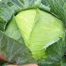 소망1농장 이미지