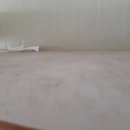 부산체육중학교 이미지