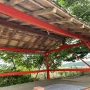 피플앤독 이미지