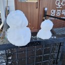 영종독 반려견 호텔, 유치원 이미지