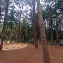 계룡산유아숲체험원 이미지