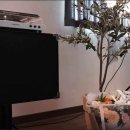 라이프 발란서 이미지