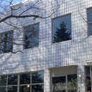 인투더그레이 | 군산 은파 로디드아파트먼트커피ㅣ 베이커리ㅣ메뉴추천ㅣ영업시간, 휴무ㅣn번째 방문(봄,여름,가을,겨울)