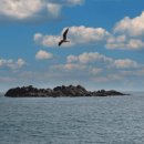 경주숲 1,2 이미지