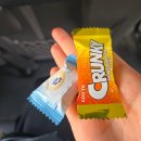 사진으로 정리하는 외노자 라이프[퇴사]