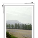 광성초등학교 이미지