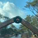 이마트24 삼일로점 | [호캉스] 메리크리스마스 🎄 / 파라스파라 캐빈룸 호캉스 ⭐️
