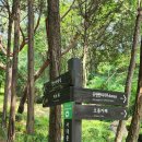 카페폭포 이미지