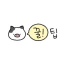 야옹아 부탁해 이미지