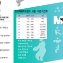 용인대 망포태권도장 이미지