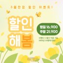 썸데이 게스트하우스 | 대학로 추천 뮤지컬 썸데이 다회차 관극 후기