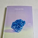 그루밍 시옷 | 시선으로부터, 정세랑 :: 시선으로부터 나온 파편들의 기억들