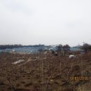 보람축산 이미지