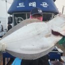 축항대로166번길 | 인천배낚시 재미있는 해성유선 방문 후기