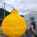 왕눈이농장 이미지