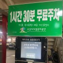 도씨네홍어 이미지