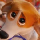 프린스펫 이미지