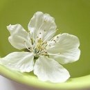 이얼싼중국어학원 이미지