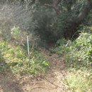 중문농업협동조합월평사업소 이미지