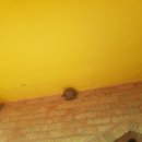 해달별유치원 이미지