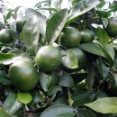 난산리-8 이미지