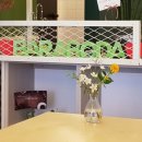 옵티카안경 이미지