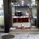 세븐엘레븐 앞 이미지