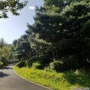 벽제관로 이미지