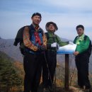 평택중학교 이미지