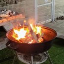 콩밭매는 강아지 이미지