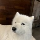 겨울이 머무는 집 이미지