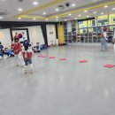 [유아체육] 놀이운동 이미지