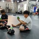 뉴챔프복싱
