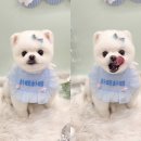 하떼하떼 이미지