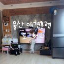 허그도그 | 울산 애견훈련 교육받은 후기 : 도그허그