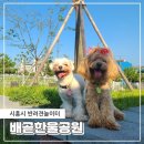 새로 개장한 시흥 애견운동장 배곧 한울공원 반려견놀이터 운영시간,추석 휴무일정