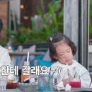 똥강아지네 이미지