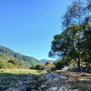 온새미로캠프 | 에르젠 텐트와 함께한 영월 온새미로 캠핑장 이용후기 (내돈내산)