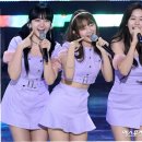 유진투어