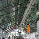 희정농장 | 🐰용인 주말 아기랑 가볼만한곳💚 [포레스트벨 체험농장]후기｜실내 동물체험🦜부터 할로윈 포토존까지 완벽👻