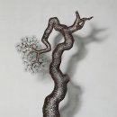 이길래 생성과응집 이미지