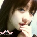 보영 Daum카페