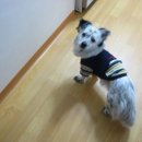 화동초등학교 앞 이미지